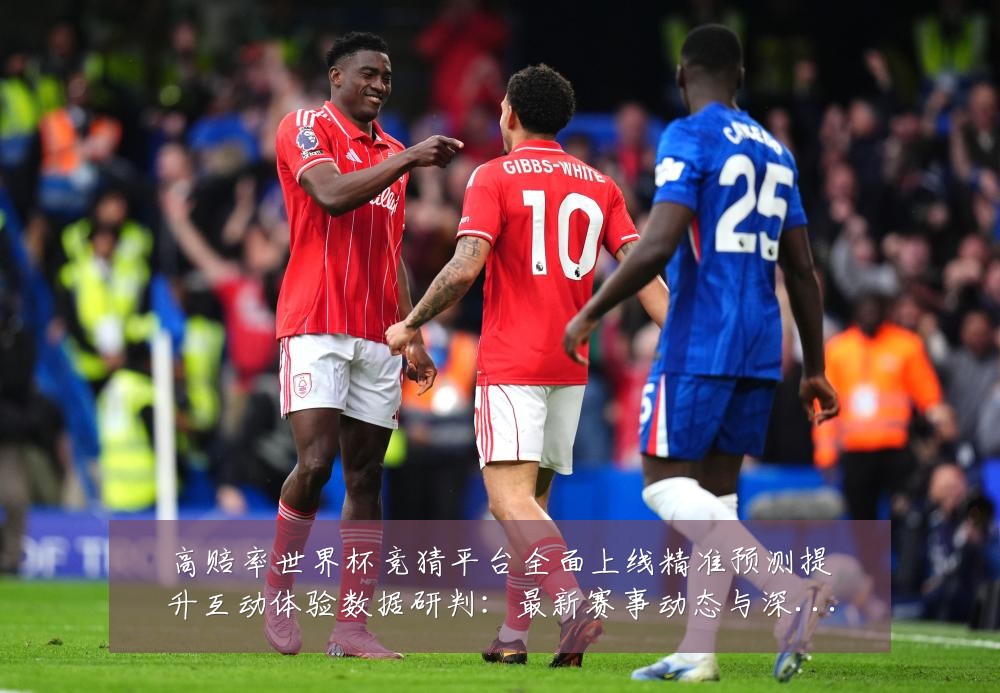 高赔率世界杯竞猜平台全面上线精准预测提升互动体验数据研判：最新赛事动态与深度分析